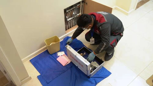 日日順以定制化場(chǎng)景方案賦能用戶體驗(yàn),讓健康品質(zhì)生活成為冬日主旋律