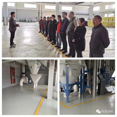 規模養殖服務商之清潔工廠：柯百微在行動